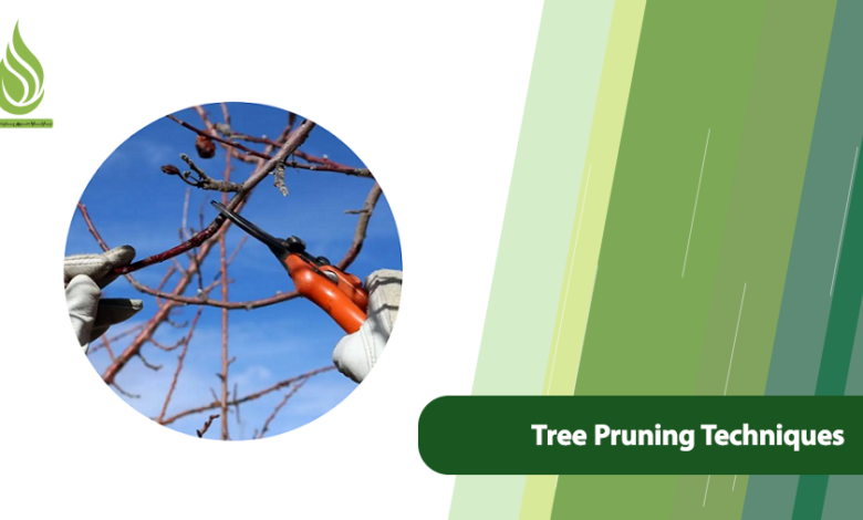 تصویر Effective Tree Pruning Techniques to Enhance Productivity