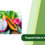 Tropical Fruits in the Middle East