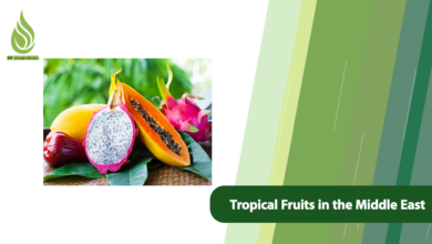 تصویر Which Tropical Fruits Are Possible to Grow in the Middle East?