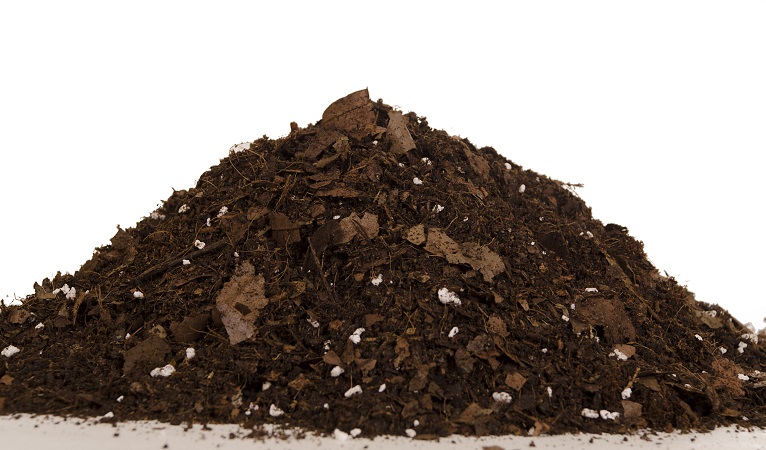 What Is Leaf Mold?