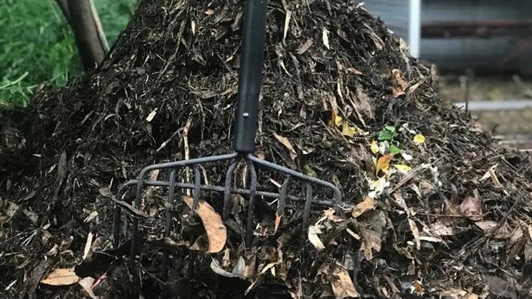 Steps to Make Leaf Mold