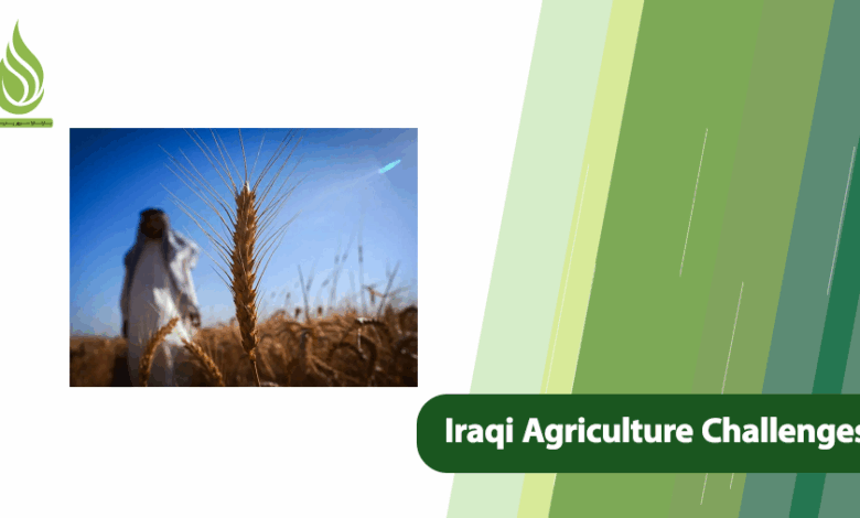 تصویر Challenges of Iraqi Agriculture and Their Solutions