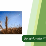 بررسی چالش های کشاورزی عراق و راه حل آنها