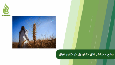 تصویر چالش های کشاورزی عراق و راه حل های آن