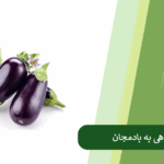 همه چیز درباره کوددهی بادمجان