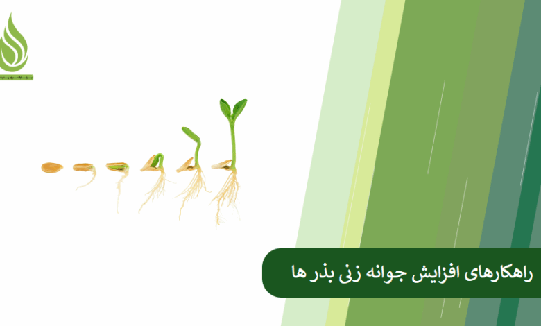 تصویر چطور جوانه زنی بذر ها را سریع تر و قوی تر کنیم؟ (راهکارهای علمی و عملی)