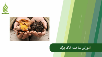 تصویر آموزش ساخت خاک برگ + بررسی مزایای خاک برگ برای خاک
