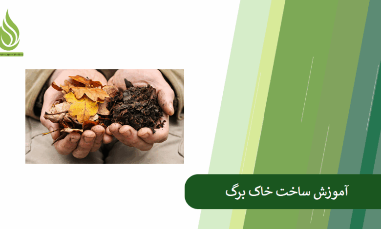 تصویر آموزش ساخت خاک برگ + بررسی مزایای خاک برگ برای خاک