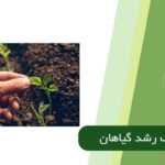 توقف رشد گیاهان