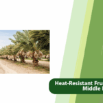 Heat-Resistant Fruit Trees