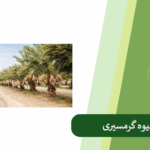 معرفی درختان میوه گرمسیری