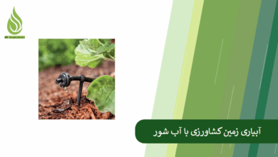 تصویر چگونه با آب شور زمین کشاورزی را آبیاری کنیم؟