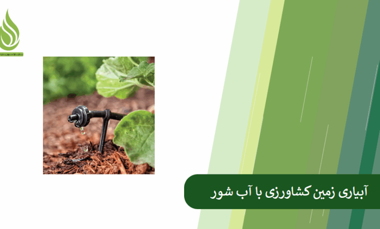 تصویر چگونه با آب شور زمین کشاورزی را آبیاری کنیم؟