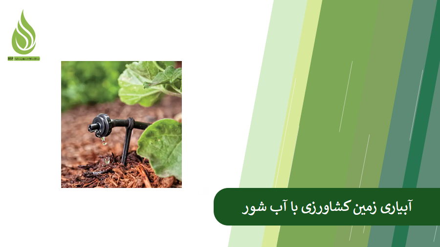 نکات مهم در آبیاری با آب شور