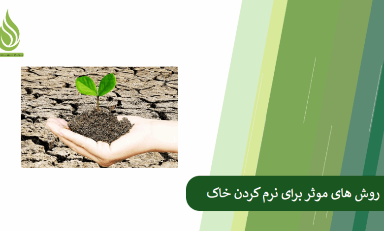 تصویر خاک سفت و کلوخه ای شده است؟ با این روش ها خاک را نرم کنید.