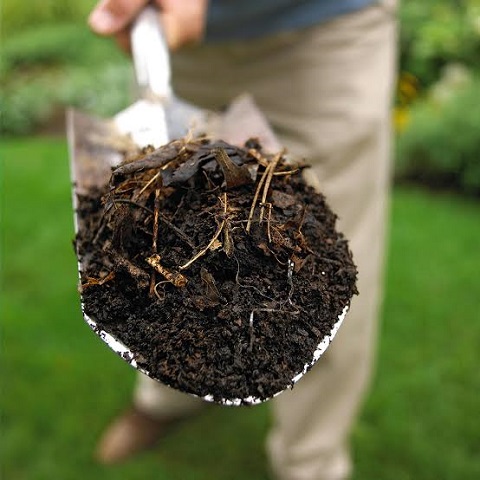 Adding Organic Matter to Soften Soil