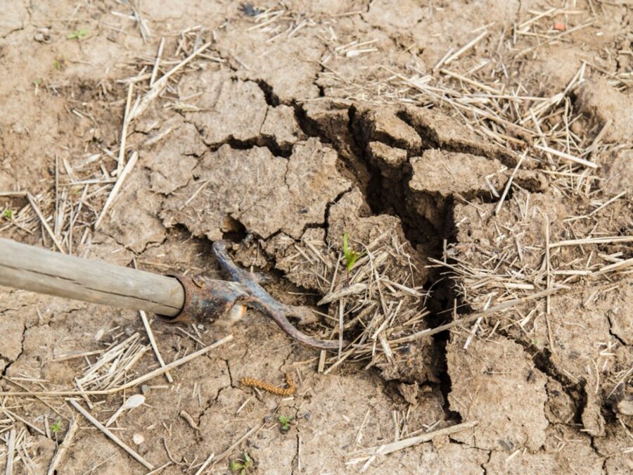 How Can You Tell If Your Soil Is Hard?
