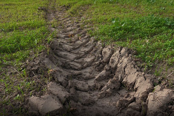 What Causes Soil to Get Hard?