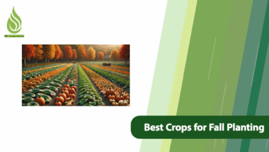 تصویر What Are the Best Crops for Fall Planting (in Different Regions)?