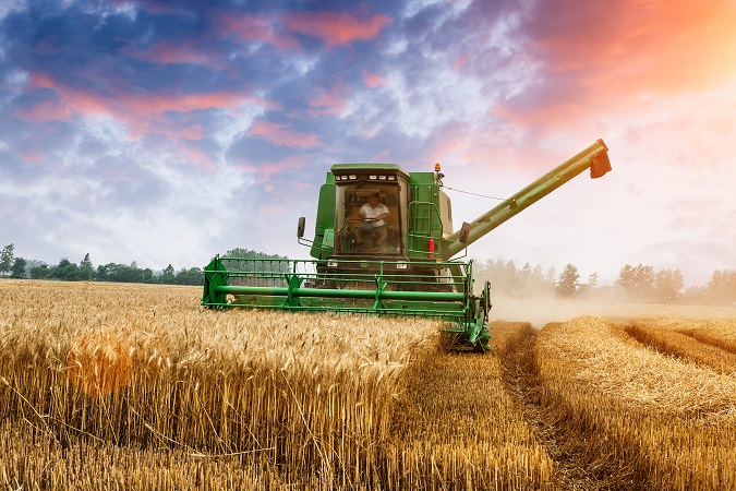 What Is Fall Planting and Why Is It Important