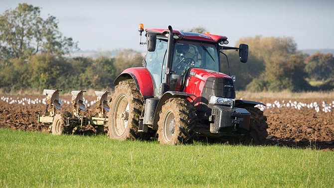 Key Tips for Farmers to Succeed in Fall Planting