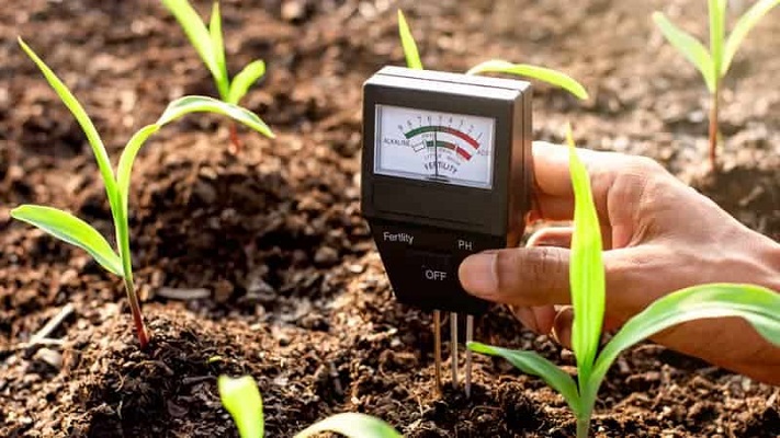 دلایل زرد شدن برگ گیاهان- کنترل pH خاک