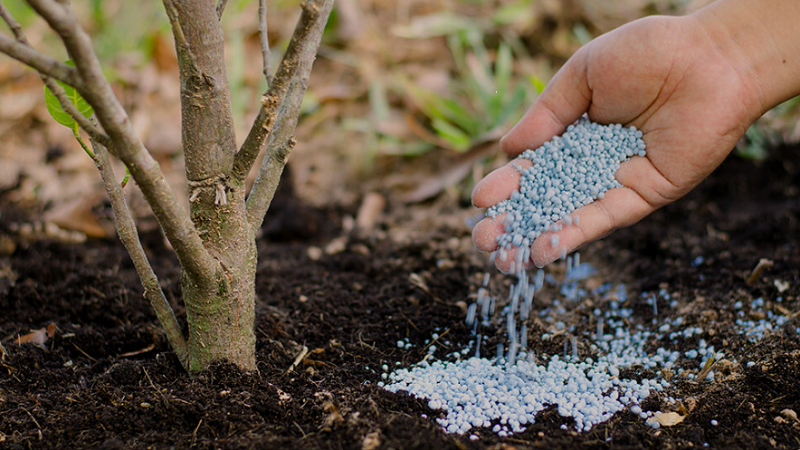 The amount of ammonium sulfate needed per hectare