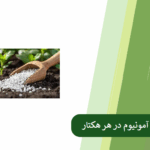 مقدار مصرف سولفات آمونیوم در هر هکتار چقدر است؟