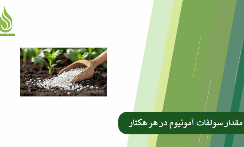 تصویر چه مقدار کود سولفات آمونیوم در هر هکتار لازم است؟