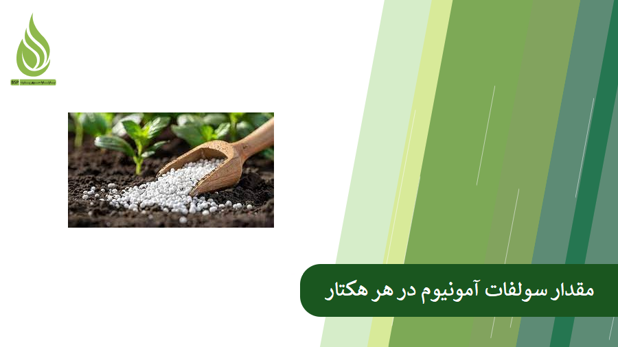 مقدار مصرف سولفات آمونیوم در هر هکتار چقدر است؟