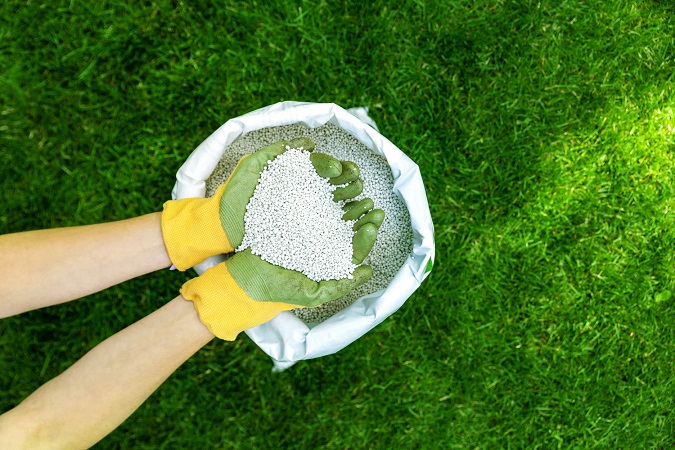 Ideal Opportunity for Importing Ammonium Sulfate from Iran to India