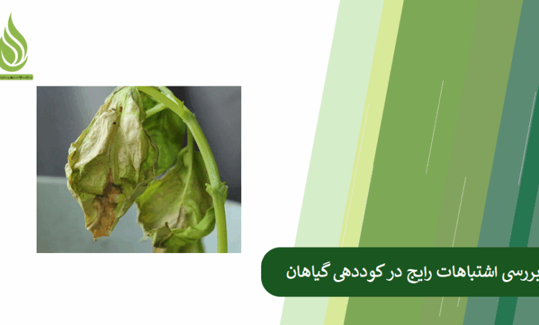تصویر بررسی اشتباهات رایج در کوددهی که باعث کاهش عملکرد گیاهان می شوند!