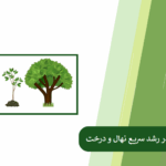 رشد سریع نهال و درخت به چه فاکتورهایی بستگی دارد؟