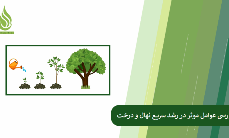تصویر رشد سریع نهال و درخت به چه فاکتورهایی بستگی دارد؟
