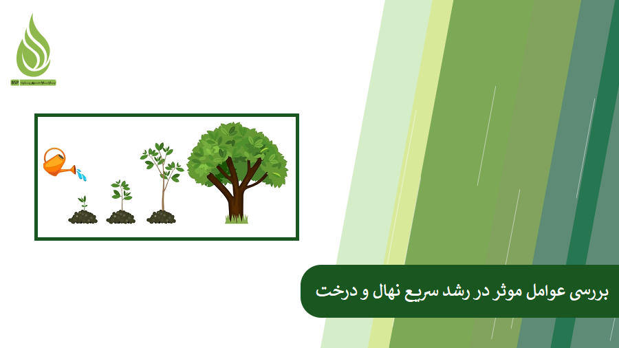 رشد سریع نهال و درخت به چه فاکتورهایی بستگی دارد؟