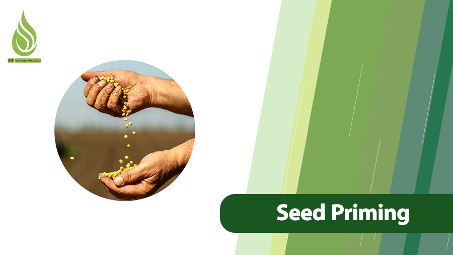 Seed Priming