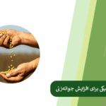 همه چیز درباره بذر مال کردن بذرها