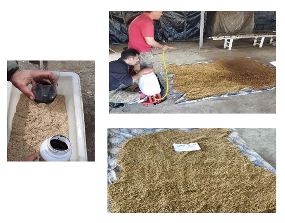 Seed Priming Steps