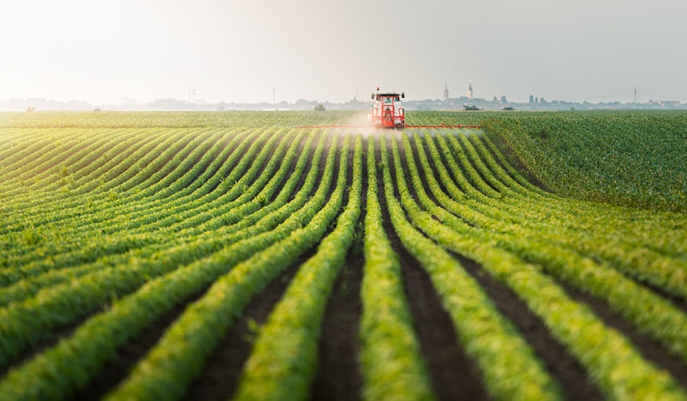 improve germination quality