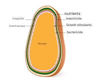 Seed after seed priming