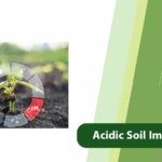 Acidic Soil Improvement