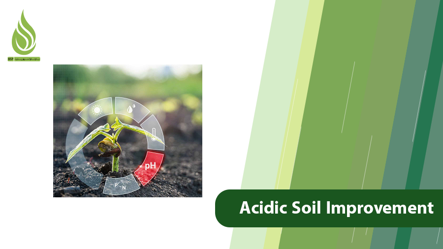 Acidic Soil Improvement