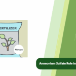 Ammonium Sulfate Phosphorus Uptake