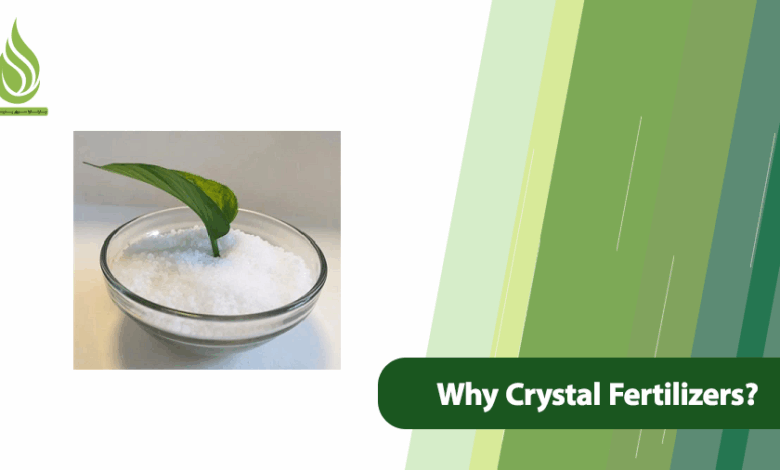 تصویر Why Crystal Fertilizers? Features and Benefits of Crystal Fertilizers