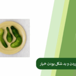 پیشگیری از بد شکل بودن خیار
