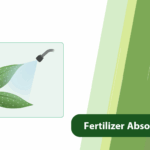 Fertilizer Absorption Time