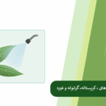 بررسی زمان جذب کود در انواع کودها