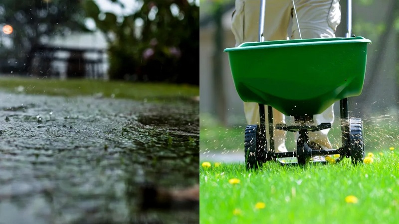Pros and Cons of Fertilizing Before Rain