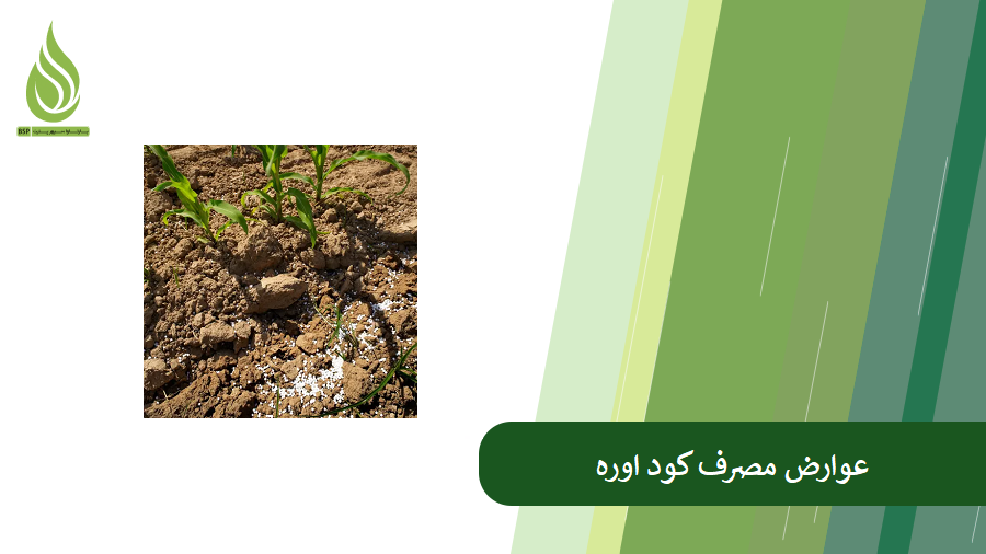 بررسی عوارض مصرف کود اوره
