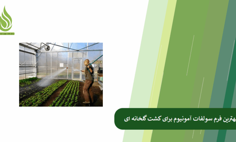 تصویر کدام فرم سولفات آمونیوم برای گلخانه داران مناسب تر است؟ مایع، کریستاله یا گرانوله؟